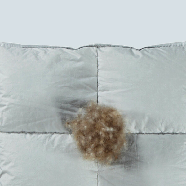 Eiderdons dekbed – Zeer exclusief | Nuvaro Winterdekbed 260 x 220 cm – Lits-jumeaux XL Eiderdons dekbed – Zeer exclusief | Nuvaro Winterdekbed 260 x 220 cm – Lits-jumeaux XL bestellen via beddenwinkel-online.nl